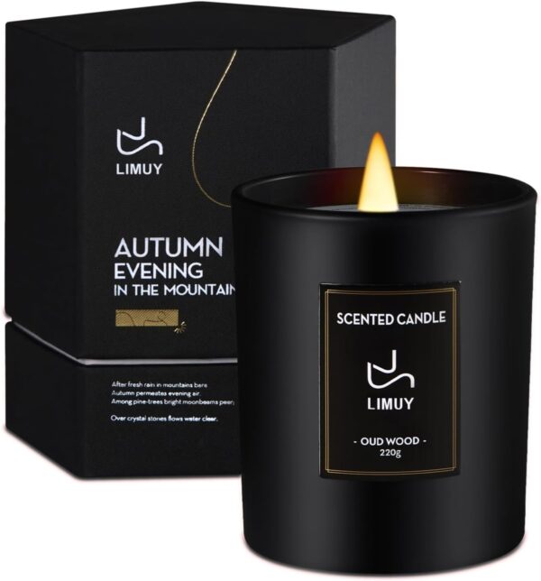 Scented Candles for Men,Sandalwood & Rose Candle, Valentine Candles,8 Oz Soy Candles for Home Scented, Masculine Candle,Wood Wicked Candles for Valentine’s Day Gifts,Vanilla...
