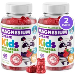DR. MORITZ Sugar-Free Calm Magnesium Gummies for Kids and Adults - Kids Magnesium Gummies - Magnesium Citrate Gummies (60 Count (Pack of 2), Raspberry)