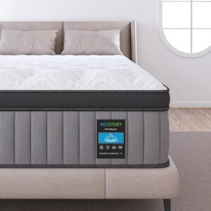 BedStory Plush Queen Mattress 14 Inch - Luxury Hybrid Mattress for Extra Lumbar & Hip Support - Pain Relieving Soft Bed in a Box Motion-Isolation - Fiberglass Free, CertiPUR-US...