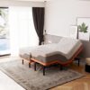 ESHINE Split King Adjustable Bed with Mattress - 14” Luxury Cool Gel Memory Foam Hybrid Mattress, Massage, Zero Gravity, Anti-Snore, 5 Minutes Installation, Head and Foot...