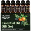 Essential Oils Set - Top 6 Blends for Diffusers, Home Care, Candle Making Scents, Fragrance, Aromatherapy, Humidifiers, Gifts - Peppermint, Tea Tree, Lavender, Eucalyptus,...