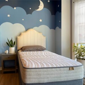 Ethical Mattress CO 10" Toxin-Free Hybrid Mattress, Made in USA with Organic Cotton, Wool, Latex & Pocketed Coils (Mattress-in-a-Box) Comfortable & Supportive for All Ages -...