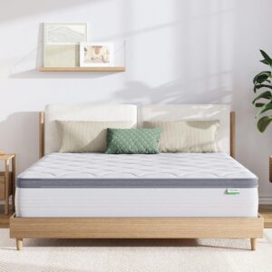 Novilla Queen Mattress, 12 Inch Hybrid Mattress Queen with Comfort Foam,Innerspring Pillow Top Queen Mattress in a Box, Queen Size Mattress for Pressure & Pain Relief, Soft Feel...