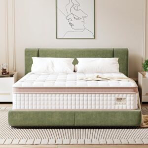 Queen Mattress 12 Inch - Superior Hybrid Mattress In a Box for Back & Lumbar Support, 100 Night Trial, Individual Pocket Spring Bed for Motion Isolation & Pressure Relief,...