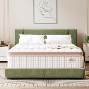 Queen Mattress 14 Inch - Superior Hybrid Mattress In a Box for Back & Lumbar Support, 100 Night Trial, Individual Pocket Spring Bed for Motion Isolation & Pressure Relief,...