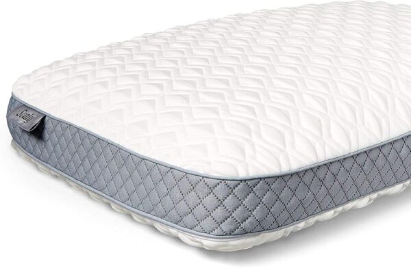 Sealy Molded Bed Pillow for Pressure Relief, Adaptive Memory Foam with Washable Knit Cover, Standard, 16x24x5.75 Inches, White, Grey