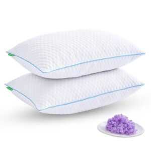 Shredded Memory Foam Pillows for Sleeping 2 Pack - Cooling Bed Pillows Standard Size Set of 2 - Firm Pillow for Side and Back Sleepers Adjustable Gel Pillow with Removable Cover