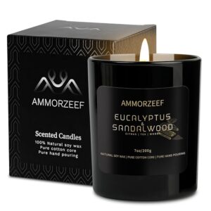 Sleep Sandalwood Scented Candle for Men,Selieve Stress,Soothe Mood,Natural Soy Candles,7oz, Burning Time 50 Hours