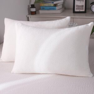 Standard Size Memory Foam Pillows 2 Pack for Side Back Stomach Sleepers Cooling Home & Hotel Collection with Removable Zipper Case
