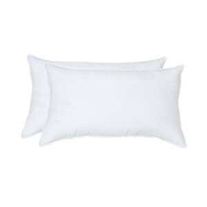 12"x20" Pillow Inserts Soft Feather Pillow Set of 2 Indoor Decorative Sofa Down Pillows Bed Pillows Couch Pillow