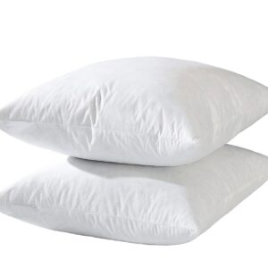 22x22 Decorative Throw Pillow Inserts-Down Feather Pillow Inserts-Square-Cotton Fabric-Set of 2-White.