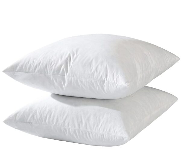 22x22 Decorative Throw Pillow Inserts-Down Feather Pillow Inserts-Square-Cotton Fabric-Set of 2-White.
