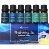 ASAKUKI Essential Oil Blends, Essential Oils Set for Diffusers for Home, Well-Being Kit- Calming, Dreams, Breathe, Relaxing, Mood, Fresh Air Aromatherapy Oils for Humidifiers,...