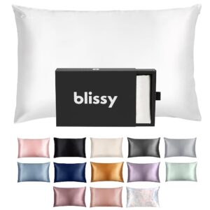 Blissy Silk Pillowcase - 100% Pure Mulberry Silk - 22 Momme 6A High-Grade Fibers - Silk Pillow Cover for Hair & Skin - Regular, Queen & King with Hidden Zipper (Standard,Blissy...