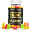 Hemp Gummies Advanced Extra Strength - High Potency Hemp Gummy for Adults - Low Sugar, Vegan, Fruity Edibles, Made in USA - 60 Count, 2-Month Supply
