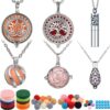 Hicarer 6 Pcs Essential Oil Diffuser Christmas Aromatherapy Locket Pendant Stainless Steel Necklace with 60 Pieces Refill Pads and Balls for Women Jewelry Accessories