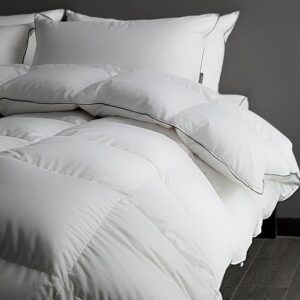 Luxury Heavyweight Feathers Down Comforter Queen Size - 750 Fill Power Hotel-Style Thicker Winter Duvet Insert for Cold Weather/Sleepers, Fluffy and Warmth - Solid White, Queen...