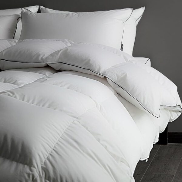 Luxury Heavyweight Feathers Down Comforter Queen Size - 750 Fill Power Hotel-Style Thicker Winter Duvet Insert for Cold Weather/Sleepers, Fluffy and Warmth - Solid White, Queen...