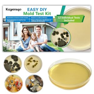 Mold Test Kit for Home - 12 Simple Detection Tests,Test HVAC System,Home Surfaces,& Indoor Air Quality Testing Kits,DIY Mold Detector at Home,includes Detailed Mold...