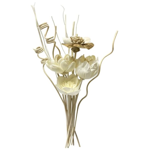 Reed Diffuser Sticks, Reed Diffuser Sticks Flowers, Reed Diffuser Set for Bathroom, Reed Diffuser for Home, Bedroom Decor, Office,12Pcs, Natural Flower