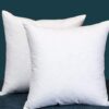 Set of 2, Square Decorative Throw Pillows Inserts Down and Feather Pillow Insert, Cotton Fabric, 24 X 24 Inches