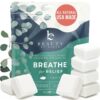 Shower Steamers Aromatherapy - USA Made with Natural Ingredients & Eucalyptus Essential Oil, Large Shower Bombs for Cold and Flu, Stocking Stuffers for Women & Men, Christmas...