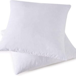 Throw Couch Pillows Inserts, Set of 2 Down Feather Pillows Inserts Bed and Cotton Cover, 18x18 Inches