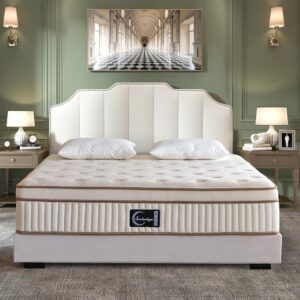 Gel Foam Innerspring Mattress - 14 Inch Queen Mattress for Motion Isolating Pressure Relief, Euro Top Medium Firm Roll in a Box, Reinforced Edge Support, 120-night Trial