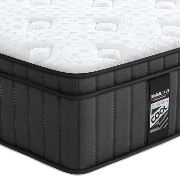 Queen Mattress, 10 Inch Hybrid Mattress, Gel Memory Foam and Pocket Spring Queen Bed Mattress in a Box, Medium Feel, Cooler Sleep & Pressure Relief, 60”*80”, 120 Nights...