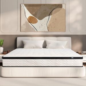 Queen Mattress 10 Inch | Queen Size Hybrid Mattresses in a Box | Medium Firm Feel Memory Foam and Individual Pocket Springs | Fiberglass Free Bed Matress | Breathable |...