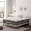12 Inch Queen Mattress in a Box,Hybrid Mattress with Memory Foam & Individual Pocket Spring for Motion Isolation,Medium Firm for Back Pain Pressure Relief,Breathable,Edge...