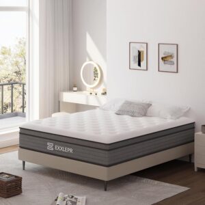 12 Inch Queen Mattress in a Box,Hybrid Mattress with Memory Foam & Individual Pocket Spring for Motion Isolation,Medium Firm for Back Pain Pressure Relief,Breathable,Edge...
