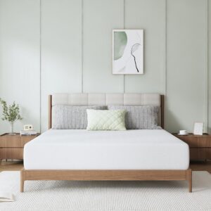 Novilla 12 Inch Mattress Queen Size, Queen Mattresses in a Box with Memory Comfort Foam & High-Density Support Foam for Refreshed Sleep & Pressure Relief with Edge Support...