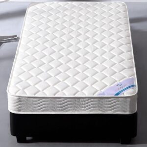Home Life 6-Inch Twin Size Spring Mattress (Twin) (furMattB3260Twin_Mint)