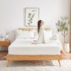 Full Mattress, 6 Inch Memory Foam Mattress in a Box, Fiberglass Free Full Size Mattresses for Pressure & Pain Relief, Soft and Comfortable