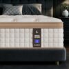 Queen Size Mattress (High-End Upgraded) Hotel-Level Luxury 12 Inch Hybrid Queen Mattress in A Box, Cooling-Gel Memory Foam & Pocket Springs,Back Pain,Extra Edge...